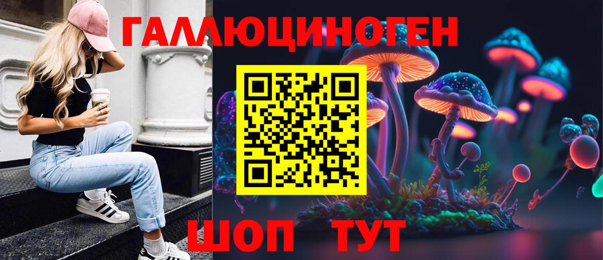 цены   Вход с VPN  Псилоцибиновые грибы MAGIC MUSHROOMS  Зеленогорск  Галлюциногенные грибы Psilocybine cubensis 