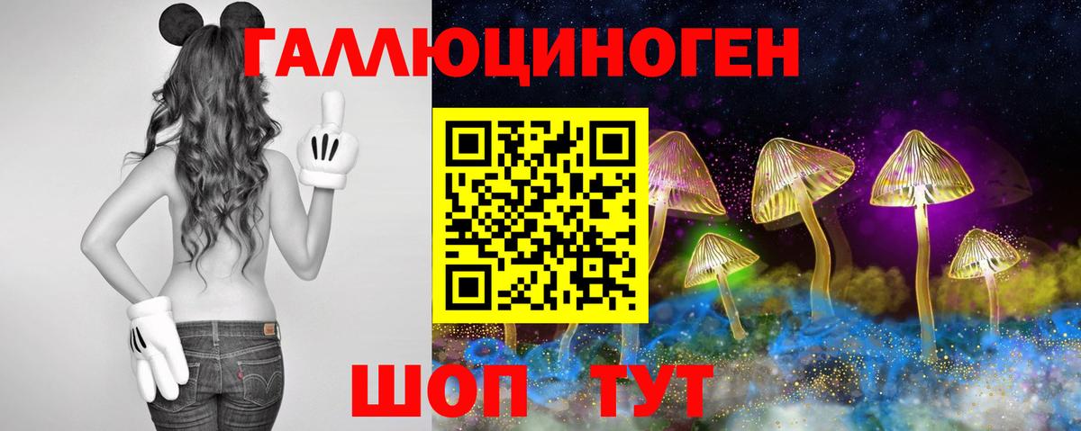 Псилоцибиновые грибы ЛСД Зеленогорск